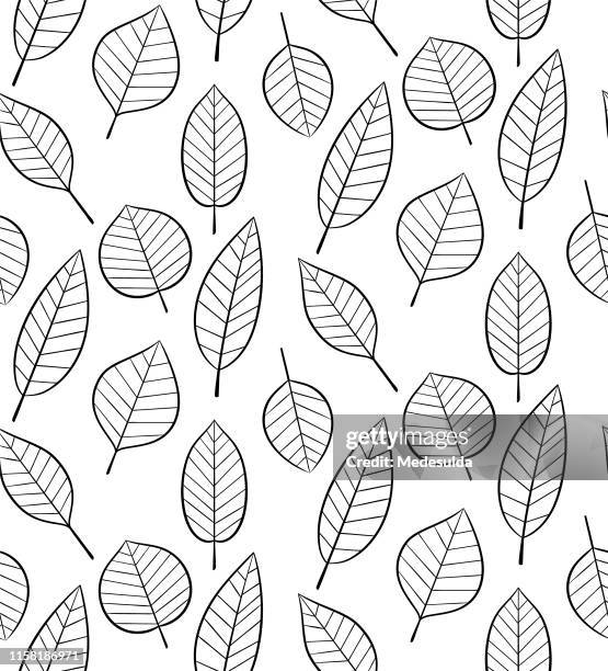 1 504点のリーフ柄イラスト素材 Getty Images 1 504点のリーフ柄イラスト素材 Getty Images