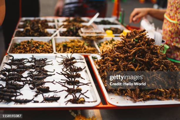 trays of exotic street foods in thailand - street food market stock pictures, royalty-free photos & images