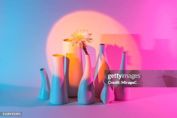 cactus flower in vase under a spotlight - nature morte photos et images de collection