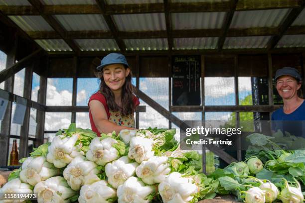 two female farmers selling organic produce - chinese cabbage imagens e fotografias de stock