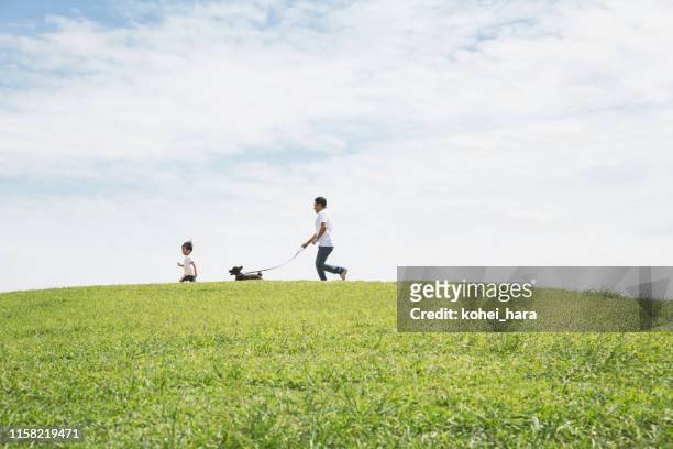 vater und sohn spazieren hund zusammen im park - happy family grass stock-fotos und bilder