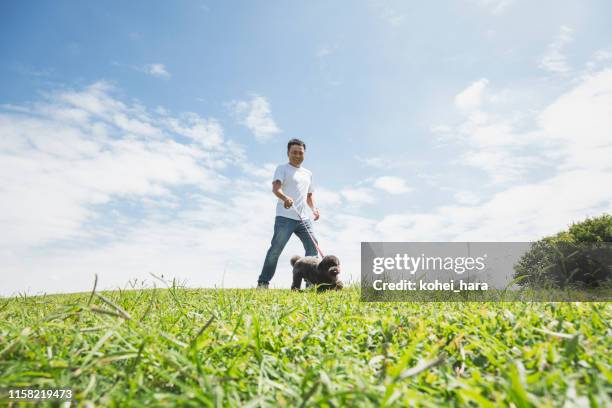 aziatische man walking dog in het park - middle age man and walking the dog stockfoto's en -beelden