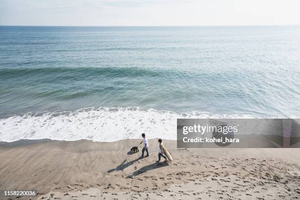 couple walking dog in the beach - japanese couple beach stock pictures, royalty-free photos & images