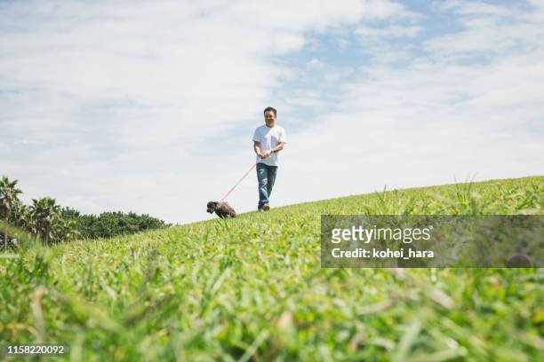 aziatische man walking dog in het park - middle age man and walking the dog stockfoto's en -beelden
