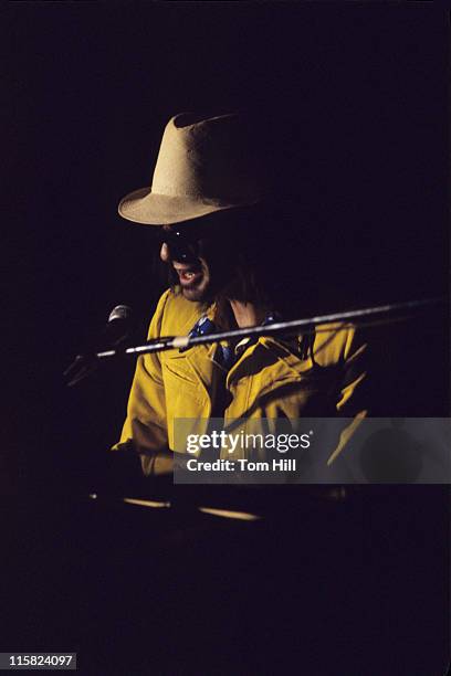 Multi-instrumentalist Al Kooper performs at the piano with Kris Kristofferson and Friends at Municipal Auditorium on April 29, 1973 in Atlanta,...