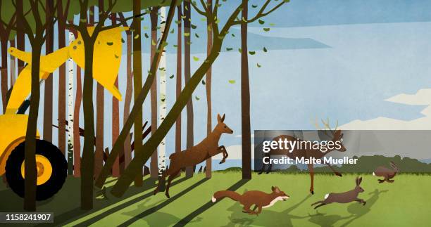 forest animals running from deforestation bulldozer in woods - cutting stock illustrations