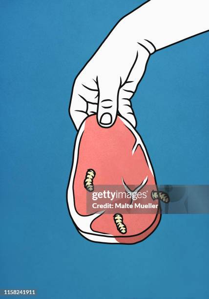 illustrazioni stock, clip art, cartoni animati e icone di tendenza di hand holding rotten raw meat with maggots - baco