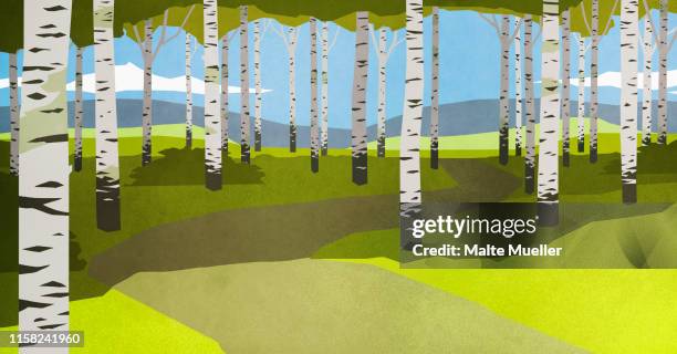 ilustrações, clipart, desenhos animados e ícones de footpath through trees in idyllic forest - tronco de árvore