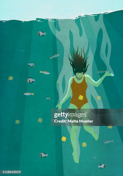 woman diving into ocean surrounded by fish - unterwasseraufnahme meer stock-grafiken, -clipart, -cartoons und -symbole