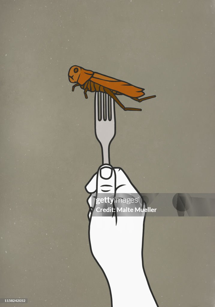 Fork piercing cockroach