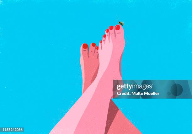 illustrations, cliparts, dessins animés et icônes de bumble bee landing on big toe of sunburned woman - jambe