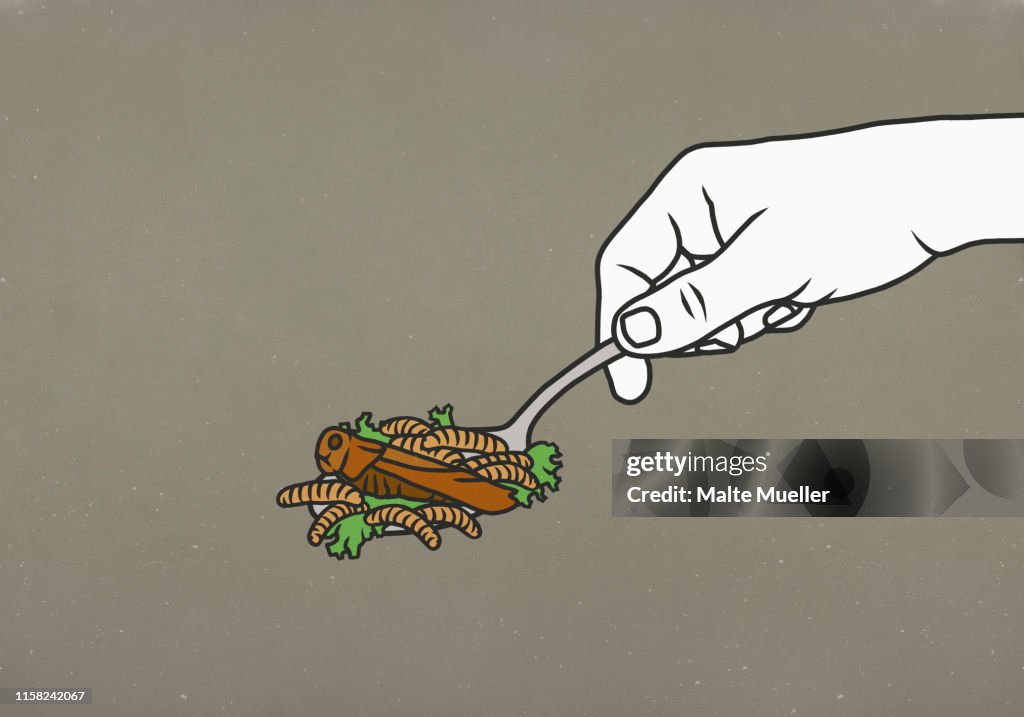 Maggots and cockroach on spoon