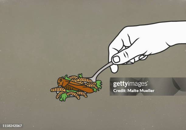 maggots and cockroach on spoon - food and drink industry stock illustrations