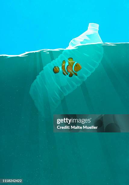 fish trapped in plastic water bottle in ocean - ecosystem stock illustrations