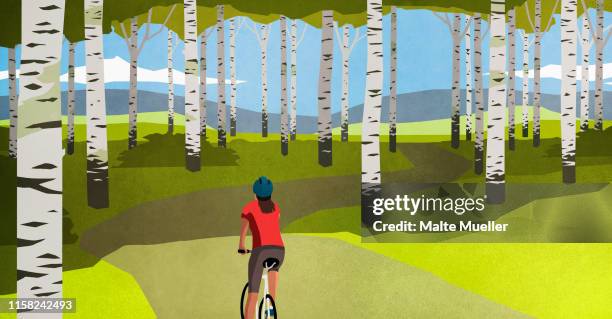 bildbanksillustrationer, clip art samt tecknat material och ikoner med woman mountain biking on path through trees in idyllic forest - asp