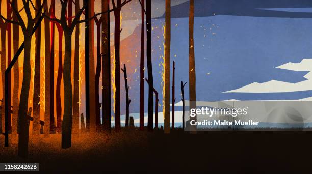 forest fire burning trees at night - scary forest background stock illustrations