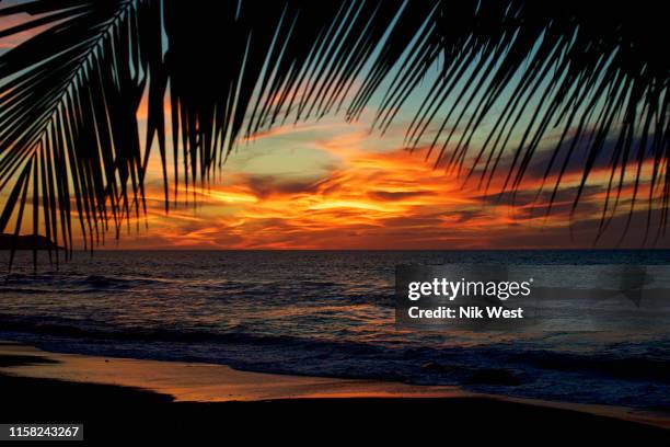 idyllic, scenic sunset sky over tranquil ocean, sayulita, nayarit, mexico - nayarit stock-fotos und bilder