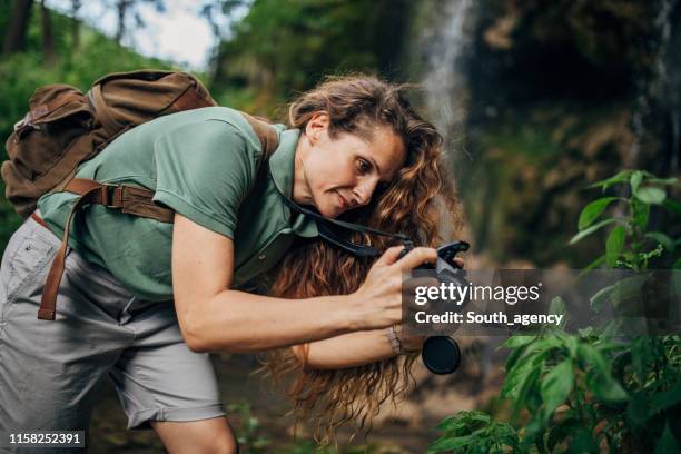 biologist making photos of plants - forest photographer stock pictures, royalty-free photos & images