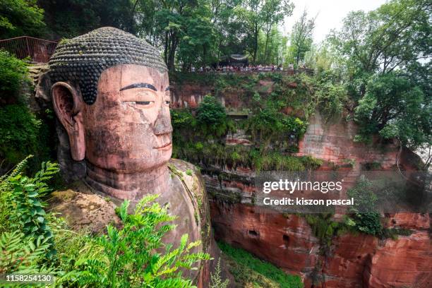 giant buddha of leshan city in sichuan , china . - leshan - fotografias e filmes do acervo