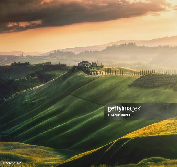 toskana sonnenuntergang landschaftsansicht von grünen hügeln gesäumt von zypressen italien, europa - tuscany villa stock-fotos und bilder