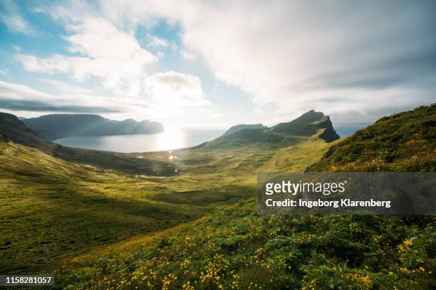 hornbjarg in hornstrandir, iceland - nature reserve stock pictures, royalty-free photos & images