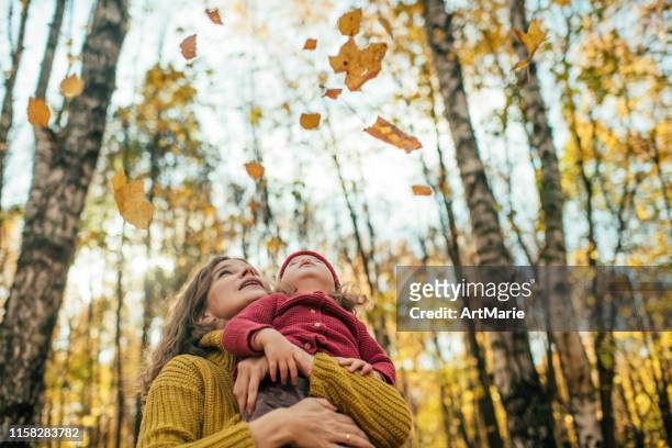 family enjoying autumn in park - kid looking down stock pictures, royalty-free photos & images