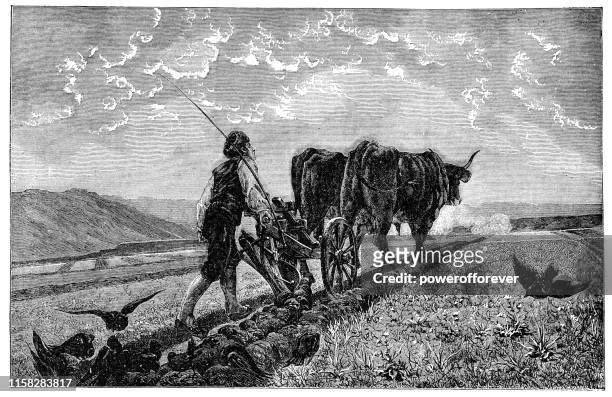 ilustrações, clipart, desenhos animados e ícones de a manhã na alsácia por charles-francois marchal-século xix - ox oxen