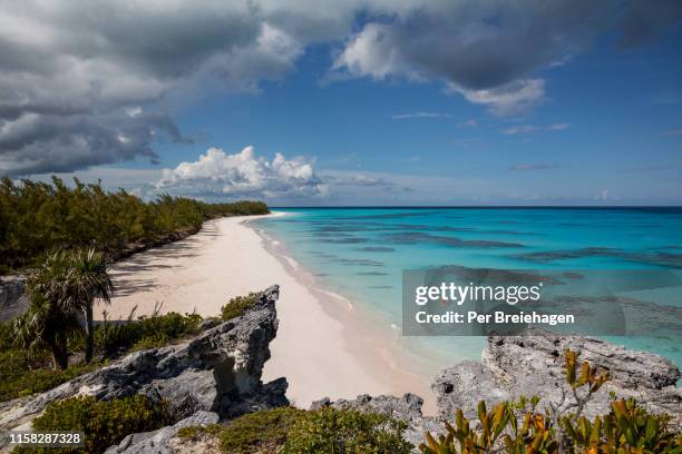 floating in the ocean at lighthouse beach_eleuthera_bahamas - bahamas fotografías e imágenes de stock