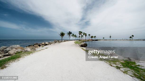 landscape way beach miami - angel island stock pictures, royalty-free photos & images