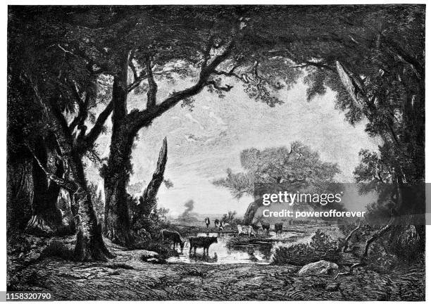 edge of the forest at fontainebleau by theodore rousseau - 19th century - french landscape stock illustrations