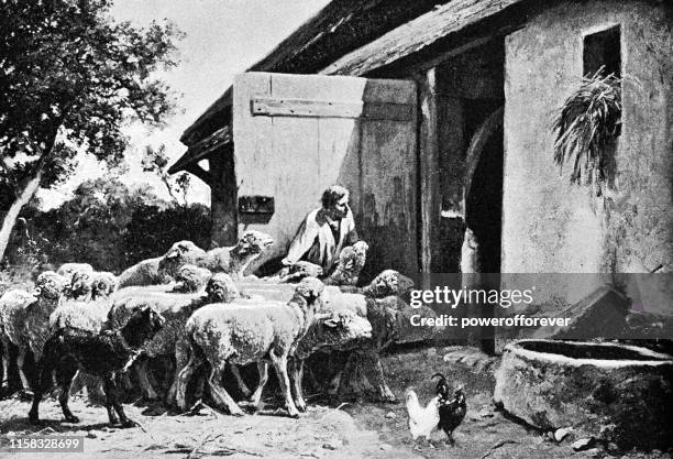 the return of the flock by charles-emile jacque - 19th century - herding stock illustrations