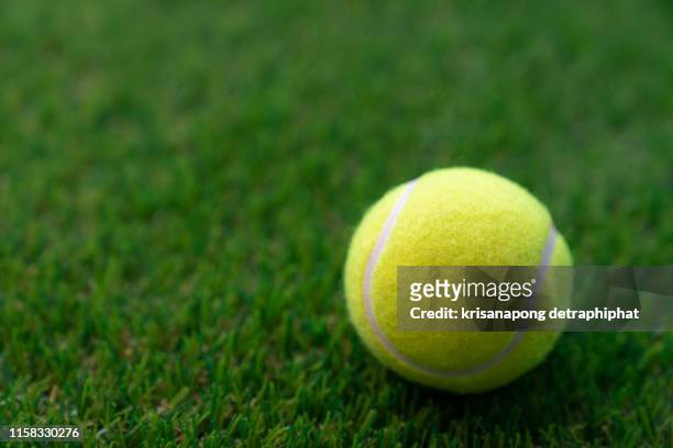 tennis ball on a green background,tennis - wimbledon tennis photos et images de collection