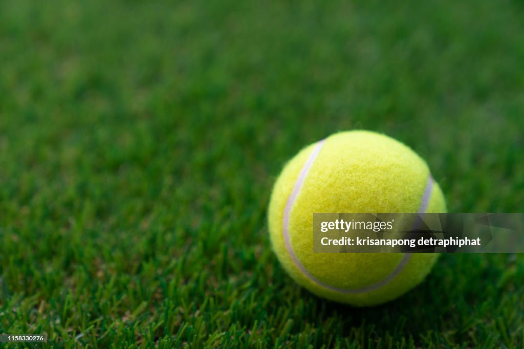 Tennis ball on a green background,Tennis