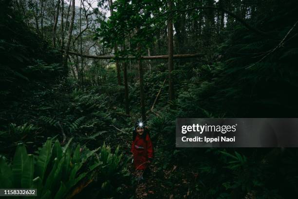 little girl hiking in jungle with torch, aogashima island - tropical tree stock pictures, royalty-free photos & images