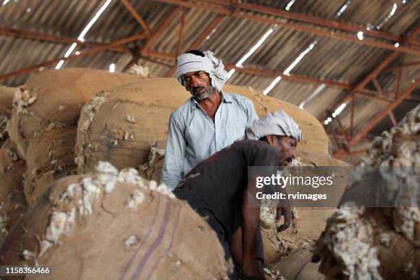 arbeiter in wollfabrik - hairy indian men stock-fotos und bilder