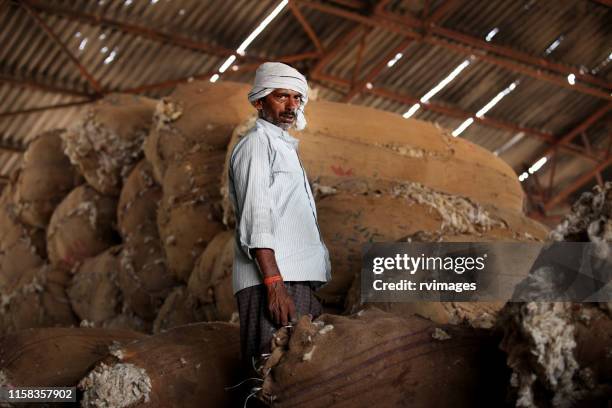 arbeiter in wollfabrik - hairy indian men stock-fotos und bilder