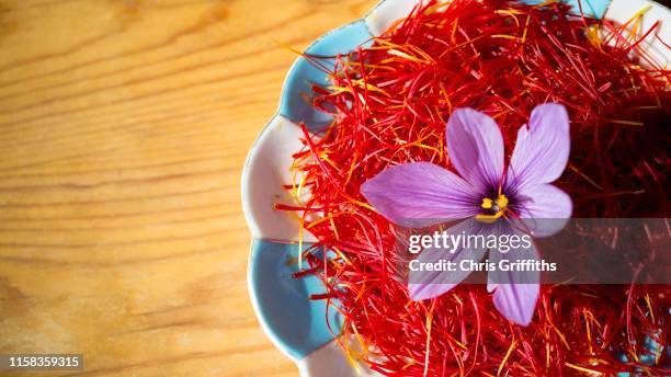 taliouine saffron harvest - saffron 個照片及圖片檔