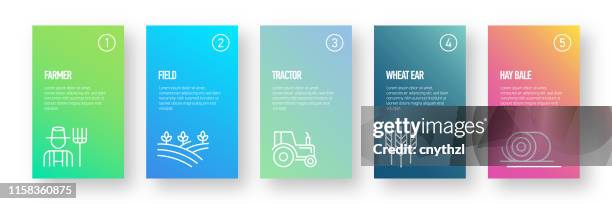 farm und landwirtschaft infografik design vorlage mit icons und 5 optionen oder schritte für prozessdiagramm, präsentationen, workflow-layout, banner, flussdiagramm, infografik. - same action stock-grafiken, -clipart, -cartoons und -symbole