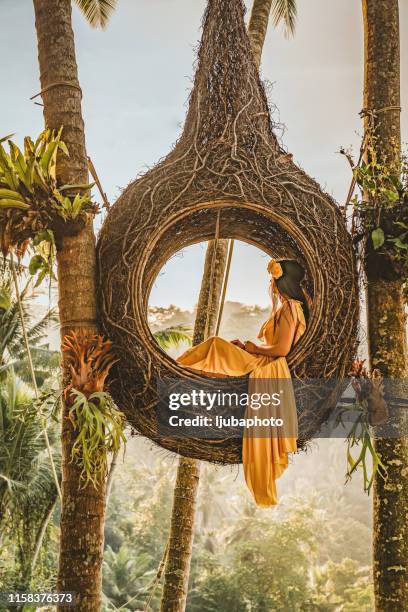 i've reached my destination and it is absolutely beautiful - bali stock pictures, royalty-free photos & images