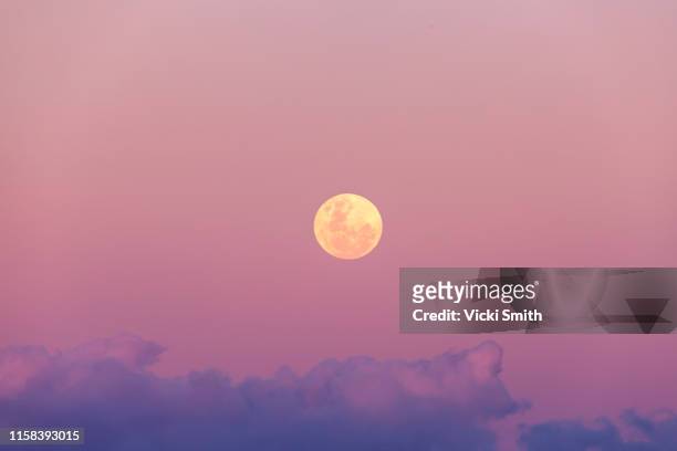 beautiful pink and purple full moon rise at sunset - selective focus stock-fotos und bilder