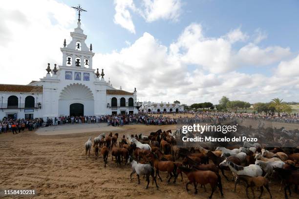 Wild mares trots past the shrine of El Rocio during the 'Saca de las Yeguas' event on June 26, 2019 in El Rocio, Spain. Every year on June 26,...