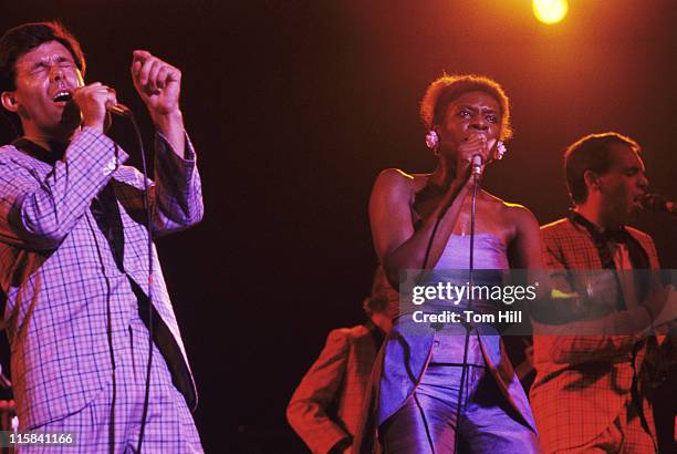 British doo-wop revival band Darts performs at the Agora Ballroom on September 4, 1981 in Atlanta, Georgia, United States.