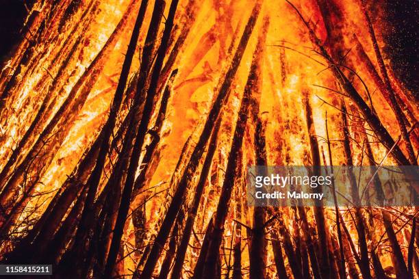 close-up of forest fire. - forest fire close up stock pictures, royalty-free photos & images