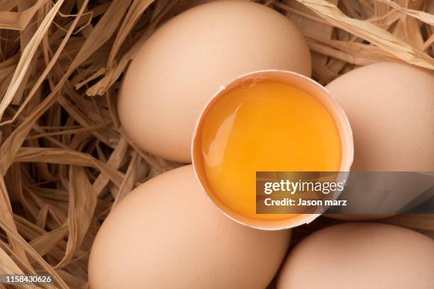egg - egg yolk stock pictures, royalty-free photos & images