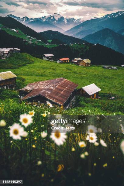 landschap van prachtige zonsondergang uitzicht vanaf de sal plateau in de zwarte zee en turkije - trabzon stockfoto's en -beelden