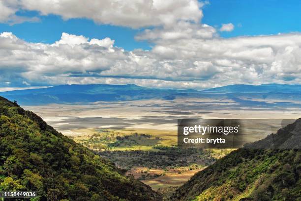 cratere ngorongoro in tanzania - ngorongoro foto e immagini stock