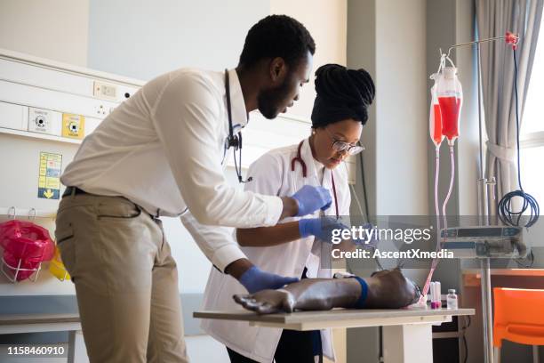 healthcare colleagues practicing iv drip on limb - s'entraîner stock pictures, royalty-free photos & images