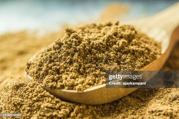 garam masala powder - garam masala stock pictures, royalty-free photos & images