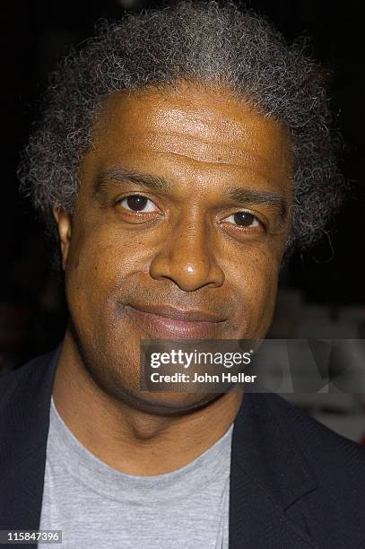 Elvis Mitchell during 2004 Los Angeles Film Festival - Blaxploitation Misnomer and Misunderstood at Director's Guild of America Atrium in Los...