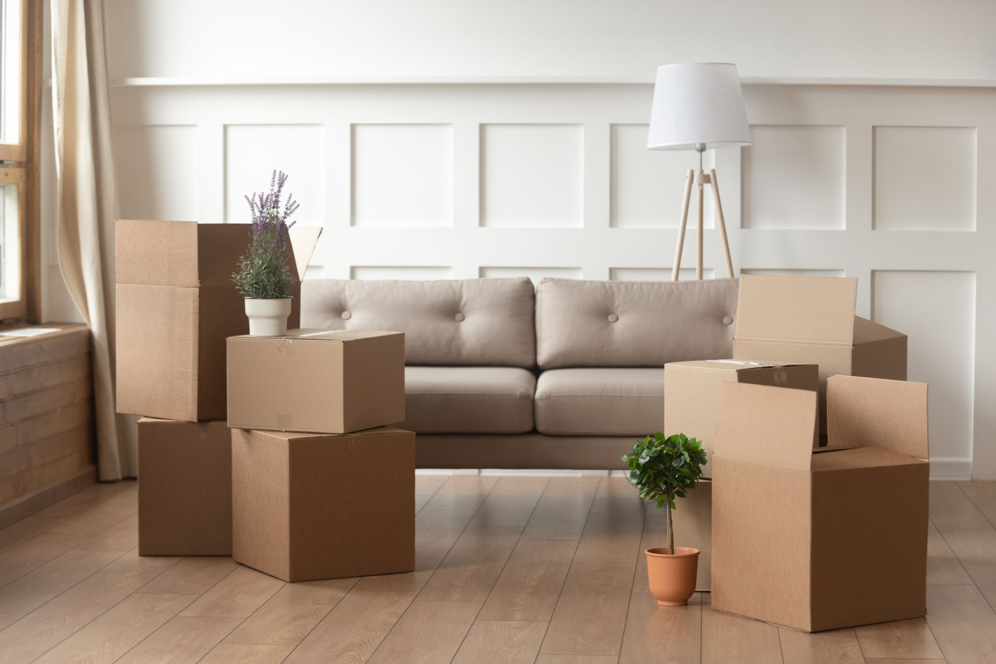 property preparation